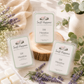 Still Meadow Wax Melts